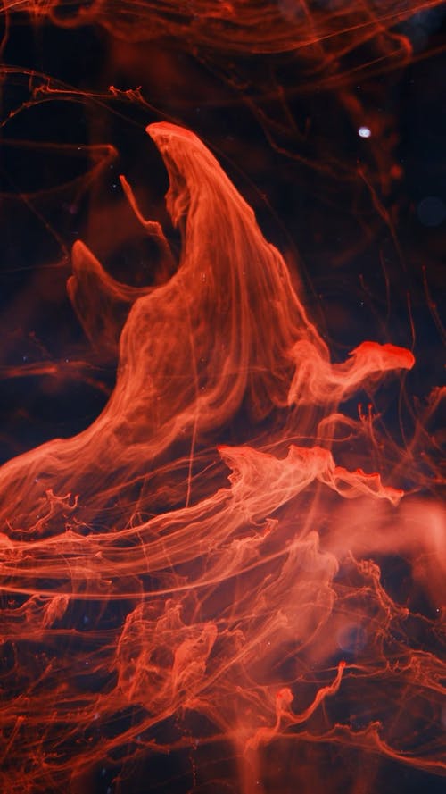 有关cg, vfx, 动画的免费素材视频