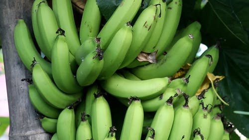 有关一串, 水果, 特写的免费素材视频