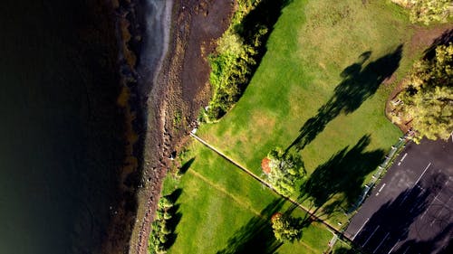 有关户外, 景观, 树的免费素材视频