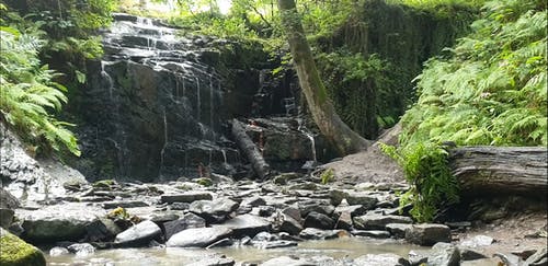 有关天性, 小河, 岩石的免费素材视频