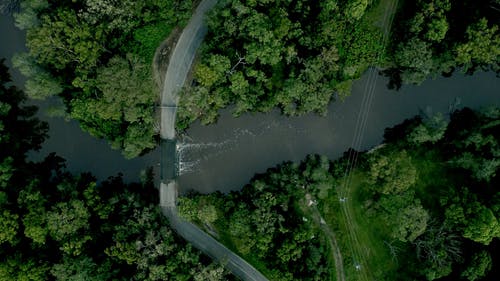 有关夏天, 天性, 户外的免费素材视频