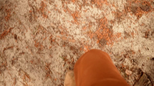 有关小路,棕色鞋子,步行的免费素材视频