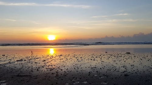 有关剪影, 岸边, 日落的免费素材视频