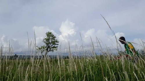 有关休闲服装, 低角度视图, 广角的免费素材视频