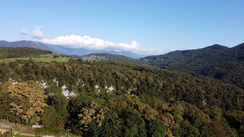 有关天性, 山, 树木的免费素材视频