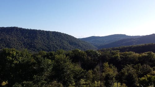 有关天性, 山, 树木的免费素材视频