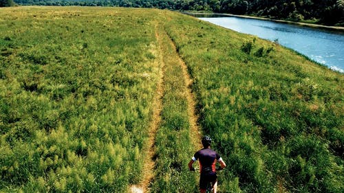 有关人, 天性, 户外的免费素材视频