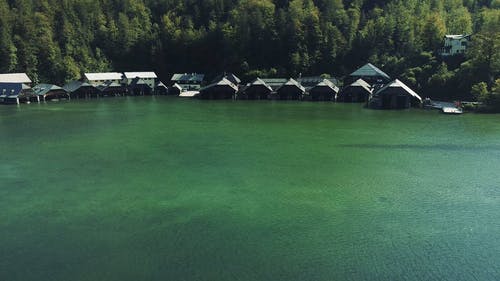 有关夏天, 天性, 岸边的免费素材视频