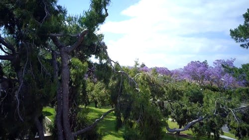 有关交通, 交通系统, 南加州的免费素材视频