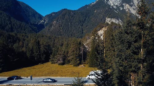 有关交通, 常青树, 户外的免费素材视频