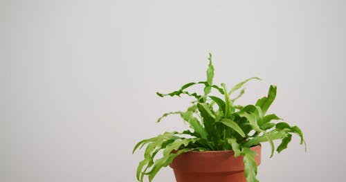 有关Copyspace, 室内, 工厂的免费素材视频