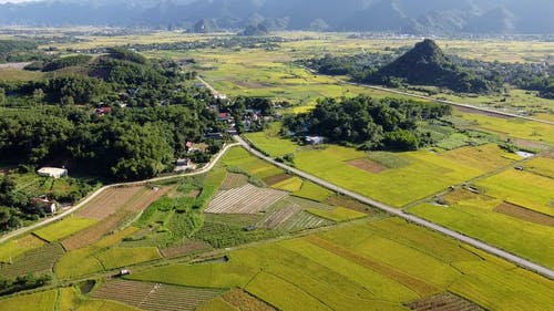 有关农业领域, 房子, 景观的免费素材视频