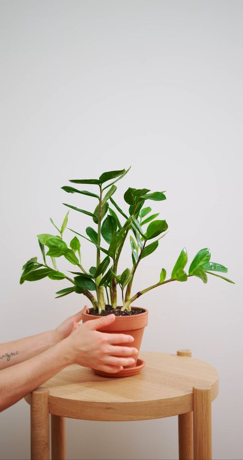 有关Copyspace, 人的手, 刺青的免费素材视频