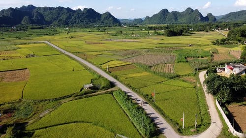 有关农村的场景, 增长, 山丘的免费素材视频