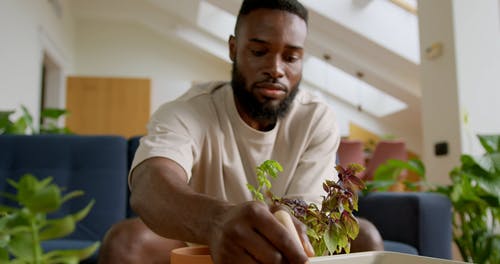 有关t恤, 人, 坐的免费素材视频