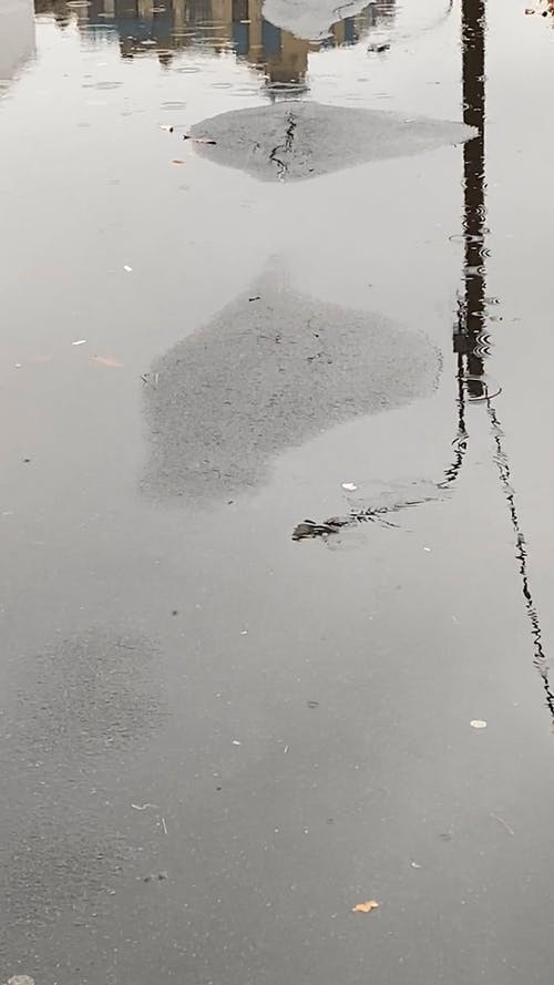 有关反射, 垂直视频, 城市的免费素材视频