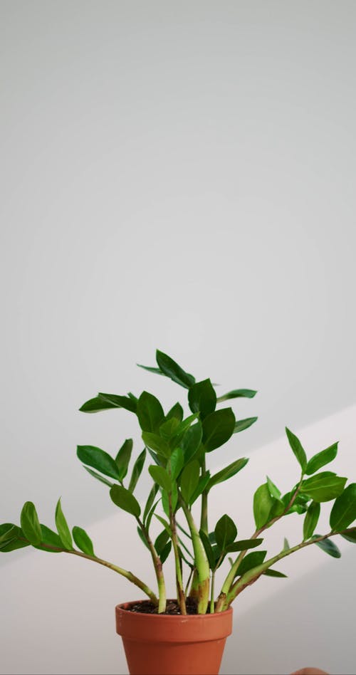 有关Copyspace, 室内, 工厂的免费素材视频