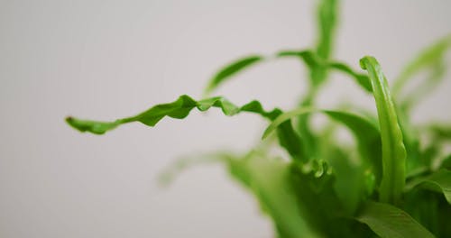 有关室内, 工厂, 房间的免费素材视频