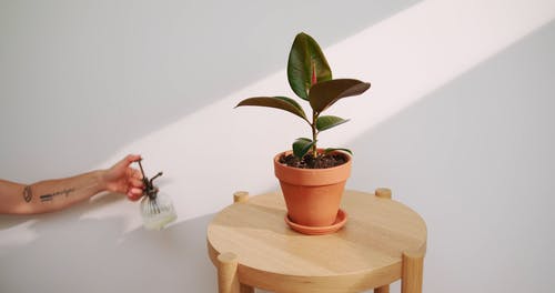 有关Copyspace, 人的手, 刺青的免费素材视频