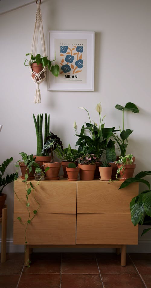 有关人的手, 图片, 室内的免费素材视频