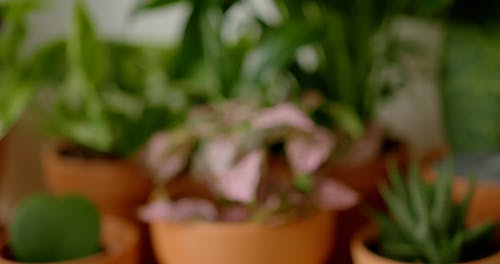 有关室内, 工厂, 房间的免费素材视频