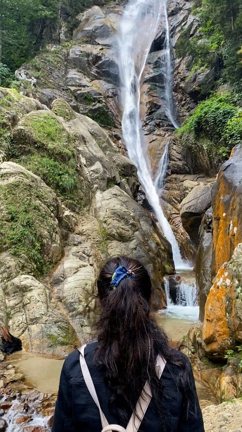 有关冒险, 垂直视频, 天性的免费素材视频