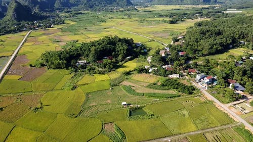 有关乡村景观, 住宅区, 住宅小区的免费素材视频