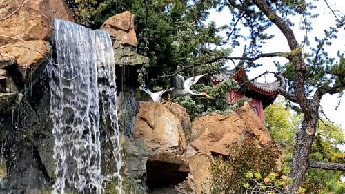 有关天性, 岩石, 树的免费素材视频