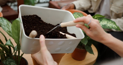 有关人,卷发,土的免费素材视频