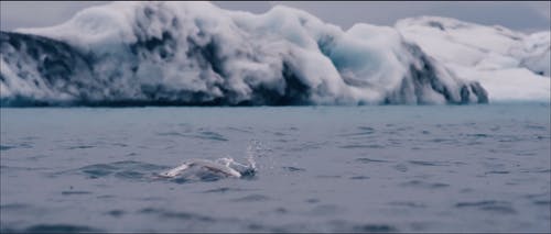 有关冬季, 冰岛, 冷的免费素材视频