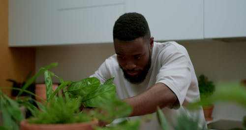 有关t恤, 人, 室内的免费素材视频