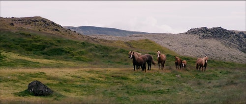 有关冰岛的,冰岛,天性的免费素材视频