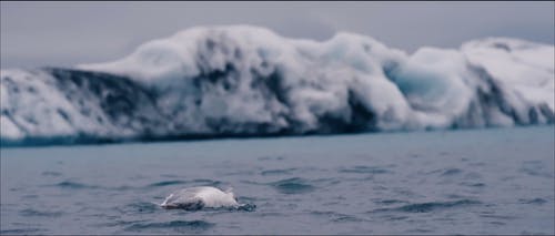 有关冬季, 冰岛, 冷的免费素材视频