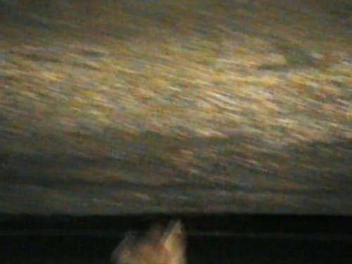 有关VHS, 朋友, 极限运动的免费素材视频