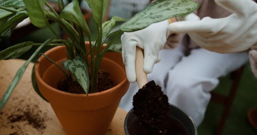 有关土, 工厂, 手的免费素材视频