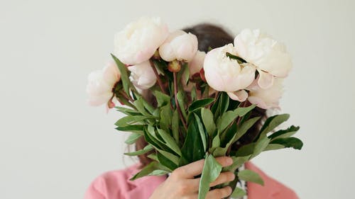 有关人, 化妆, 成人的免费素材视频