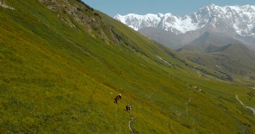 有关山,牲畜,空中镜头的免费素材视频