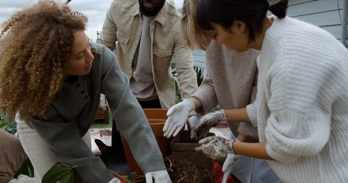 有关人, 倾注, 园艺的免费素材视频