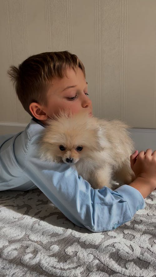 有关一起, 儿童, 动物的免费素材视频