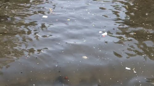 有关垃圾, 尘土, 污染的免费素材视频