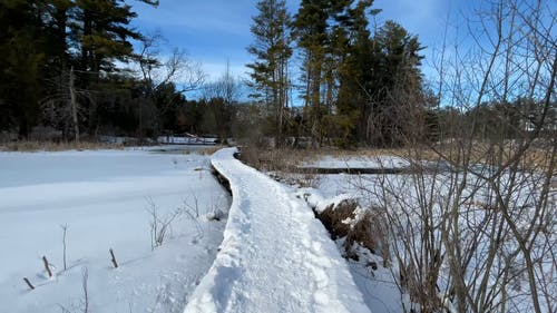 有关冬季, 冻结的, 天性的免费素材视频