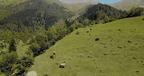 有关moutains,农业用地,农村的场景的免费素材视频