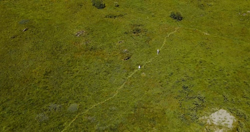 有关和平的,天性,宁静的免费素材视频