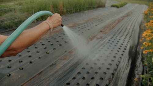 有关户外, 植物, 流口水的免费素材视频