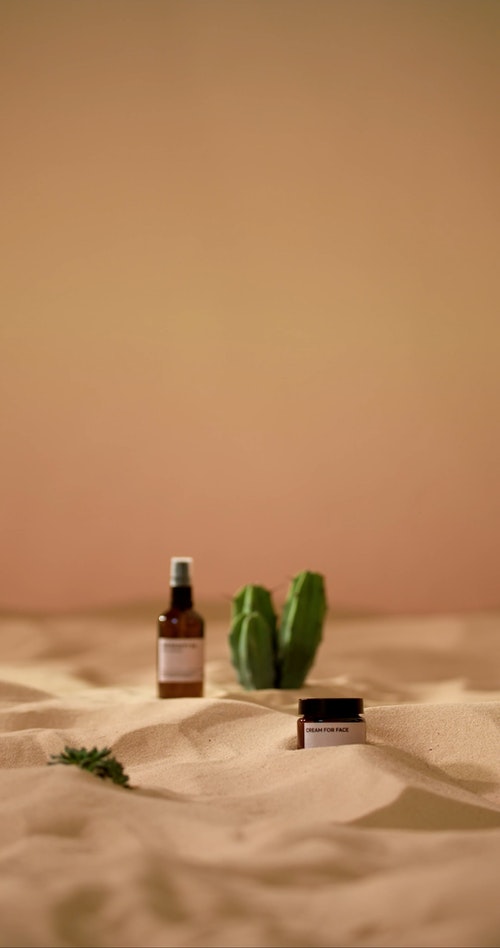 有关仙人掌,化妆品,垂直视频的免费素材视频