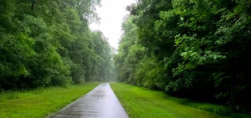 有关天性, 巷弄, 户外的免费素材视频