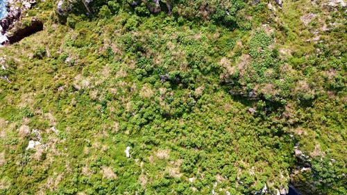 有关天性, 悬崖, 户外的免费素材视频