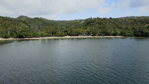 有关户外, 景观, 棕榈树的免费素材视频