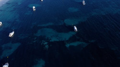 有关停泊, 户外, 水的免费素材视频