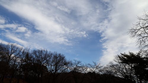 有关天性, 天空, 户外的免费素材视频